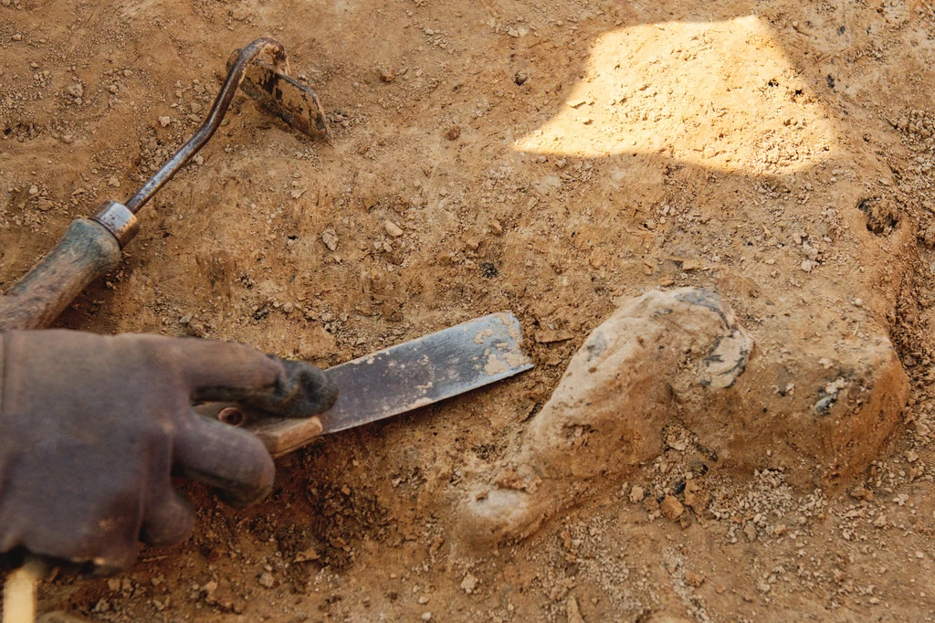 Na Dolnym Śląsku mnożą się odkrycia archeologiczne.