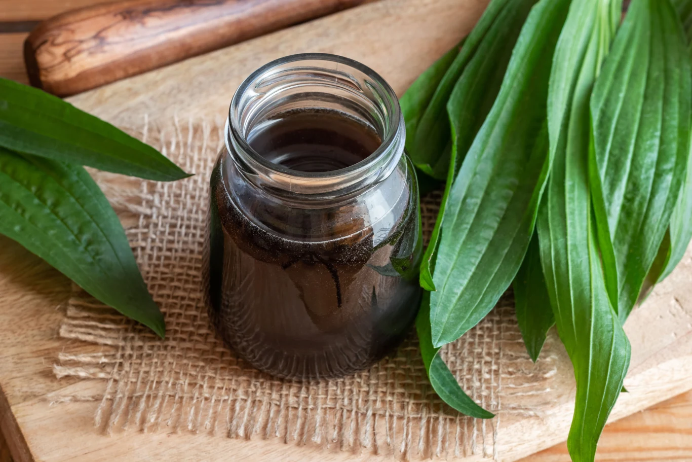 Syrop z babki lancetowatej jest dobry na przeziębienie oraz kaszel.