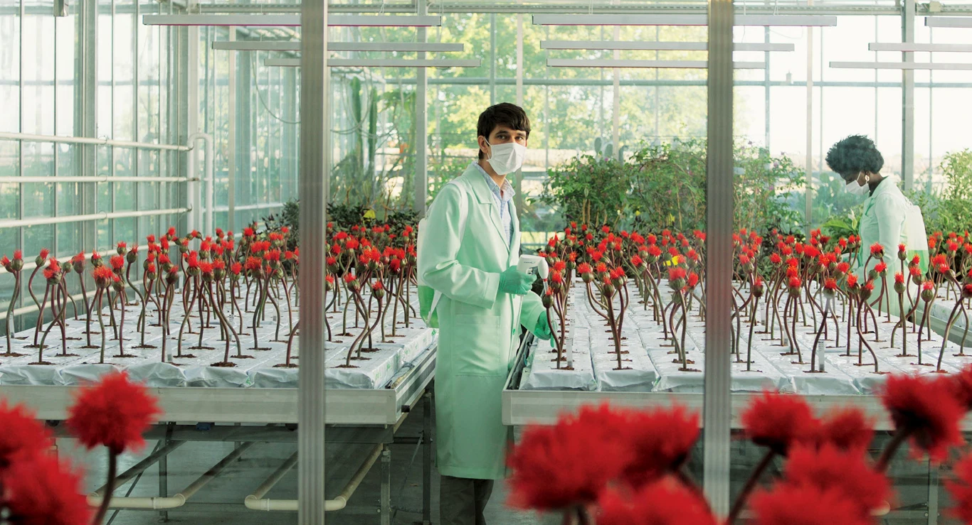 Jedna z ostatnich kreacji Whishawa pochodzi z prezentowanego na zeszłorocznym festiwalu w Cannes filmu "Kwiat szczęścia" (2019), który za kilka dni zadebiutuje na ekranach polskich kin. Aktor wcielił się w nim w pracownika laboratorium, w którym wyhodowany zostaje niezwykły kwiat - jeśli zapewni mu się odpowiednią temperaturę, właściwie podlewa i rozmawia z nim - sprawia, że jego opiekun odczuwa szczęście.