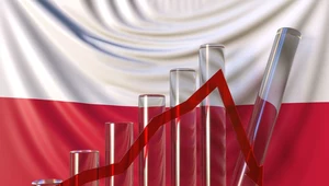 MFW podwyższył prognozy nie tylko dla Polski 