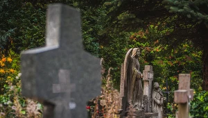 Cmentarz, Gdańsk Oliwa; Zdj. ilustracyjne