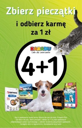 Promocje dla zwierzaków w Kakadu!