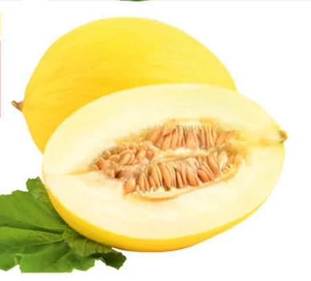 Melon