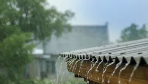 Prawie pół miliona na zbieranie deszczówki w Małopolsce 