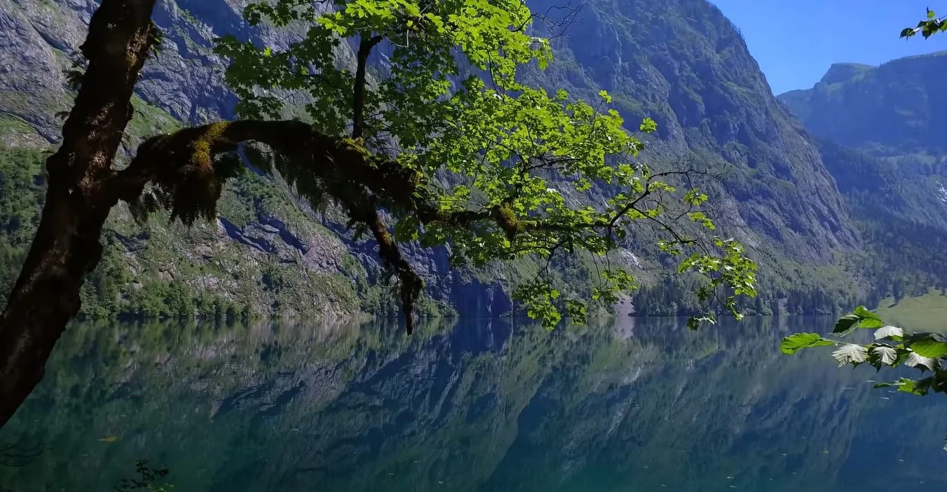 - Nie mamy nic przeciwko temu, żeby przybywało do nas wielu gości - tłumaczy Scheider. - Wszyscy są mile widziani tak długo, jak szanują zasady i dbają o środowisko. Ale ci ludzie tego nie robili. Zachowywali się głośno, zostawiali po sobie mnóstwo śmieci, rozpalali ogniska, a nawet nocowali w parku, co jest surowo zabronione.