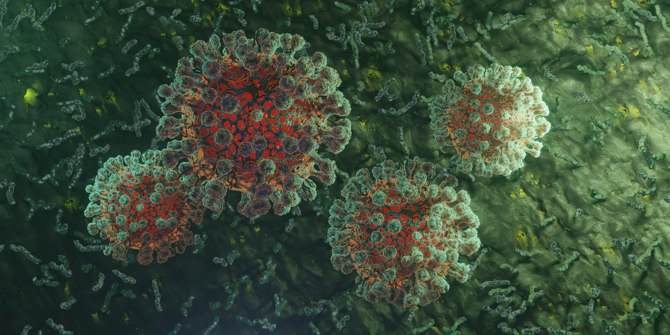 SARS-CoV-2 różni się od innych znanych nam koronawirusów SARS-CoV-2 różni się od innych znanych nam koronawirusów