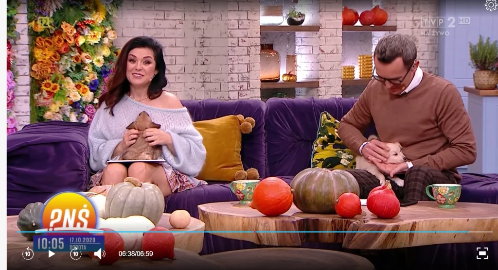 Kasia Cichopek z psem w "PnŚ" (Screen: pytanienasniadanie.tvp.pl) Kasia Cichopek z psem w "PnŚ" (Screen: pytanienasniadanie.tvp.pl)