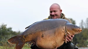 34-kilogramowy karp z UK. Brać rekord czy nie? 