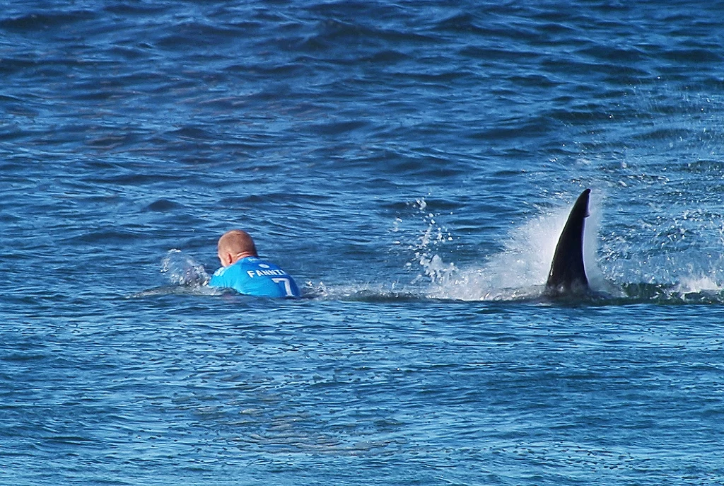 Najczęstszymi ofiarami ataków rekinów u brzegów Australii byli tamtejsi surferzy (zdjęcie ilustracyjne)