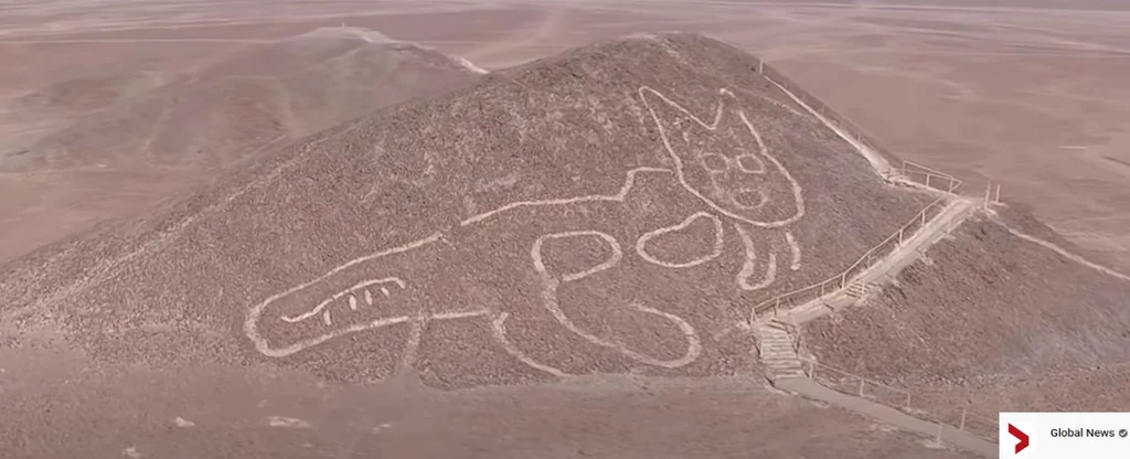 Kot na pustyni Nazca. Fot. YouTube/Global News