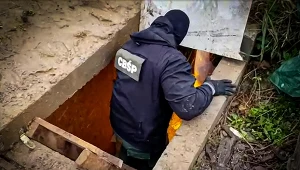 CBŚP zlikwidowało podziemną plantację konopi indyjskich