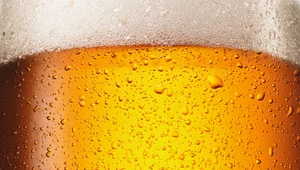 Heineken ogłosił, że udało mu się sprzedać rosyjską gałąź działalności za... 1 euro.