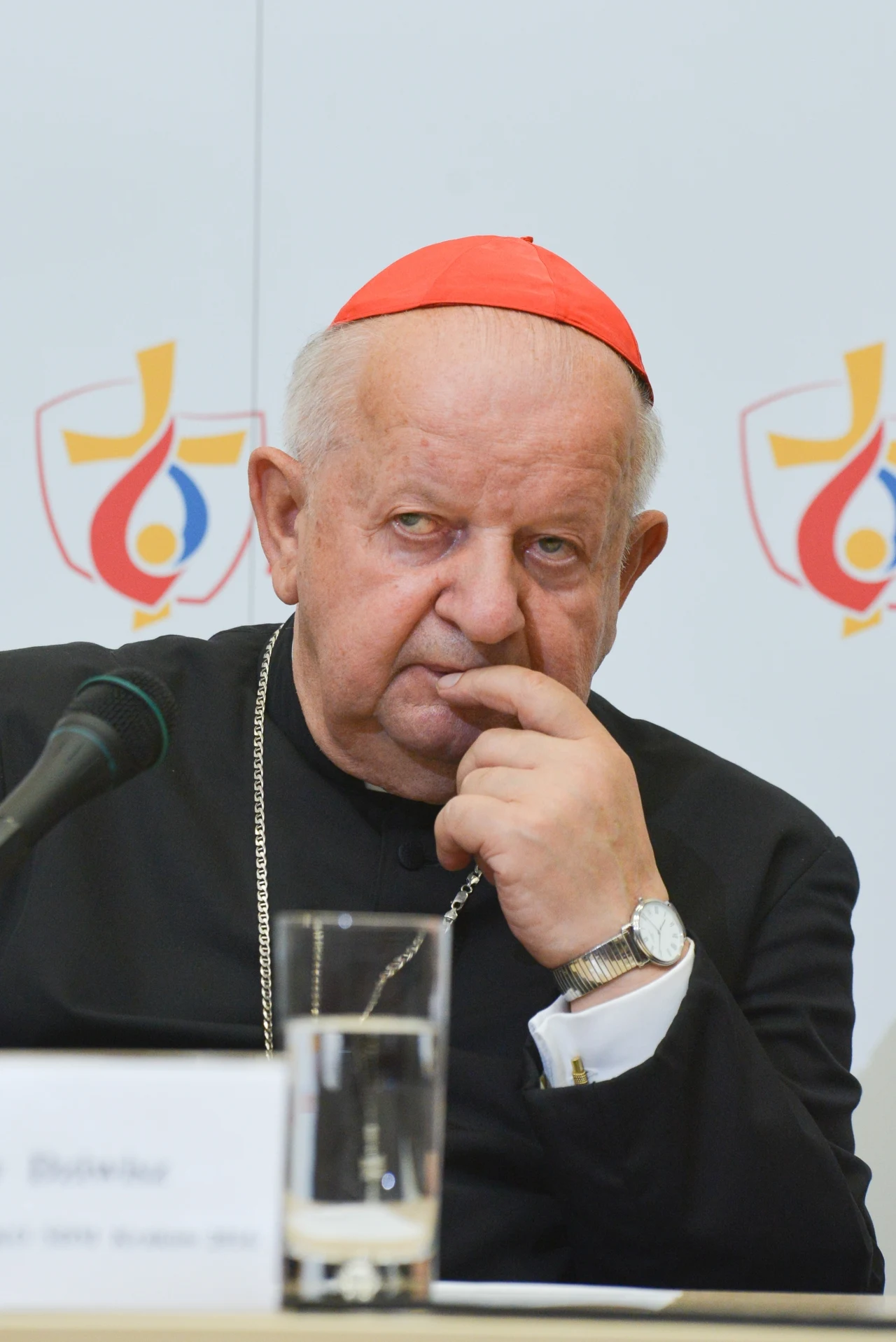 Kardynał Stanisław Dziwisz Kardynał Stanisław Dziwisz