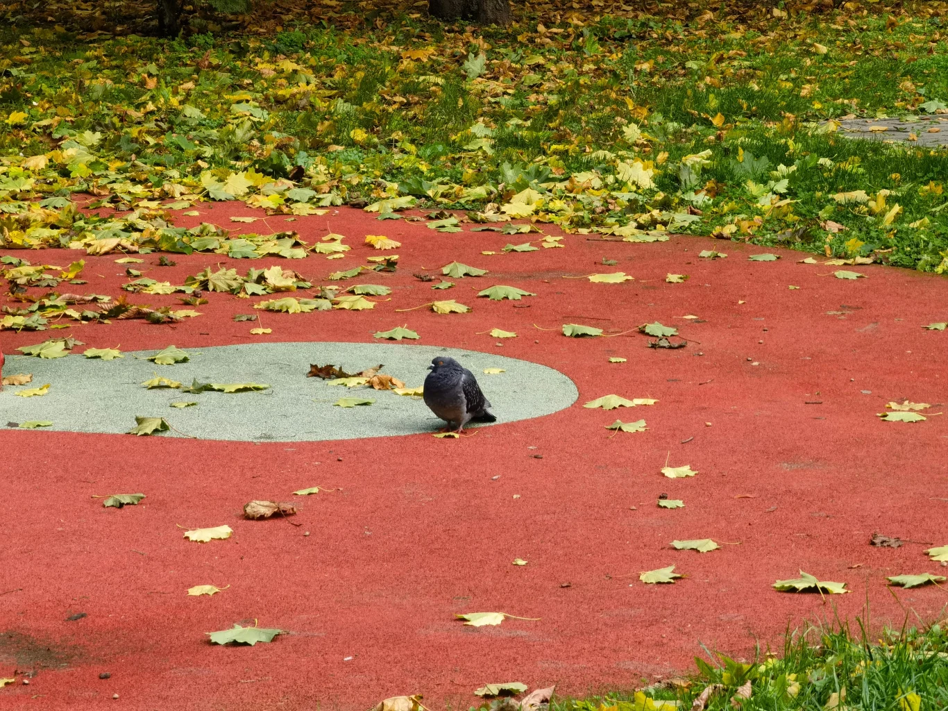 Zdjęcie głównym obiektywem