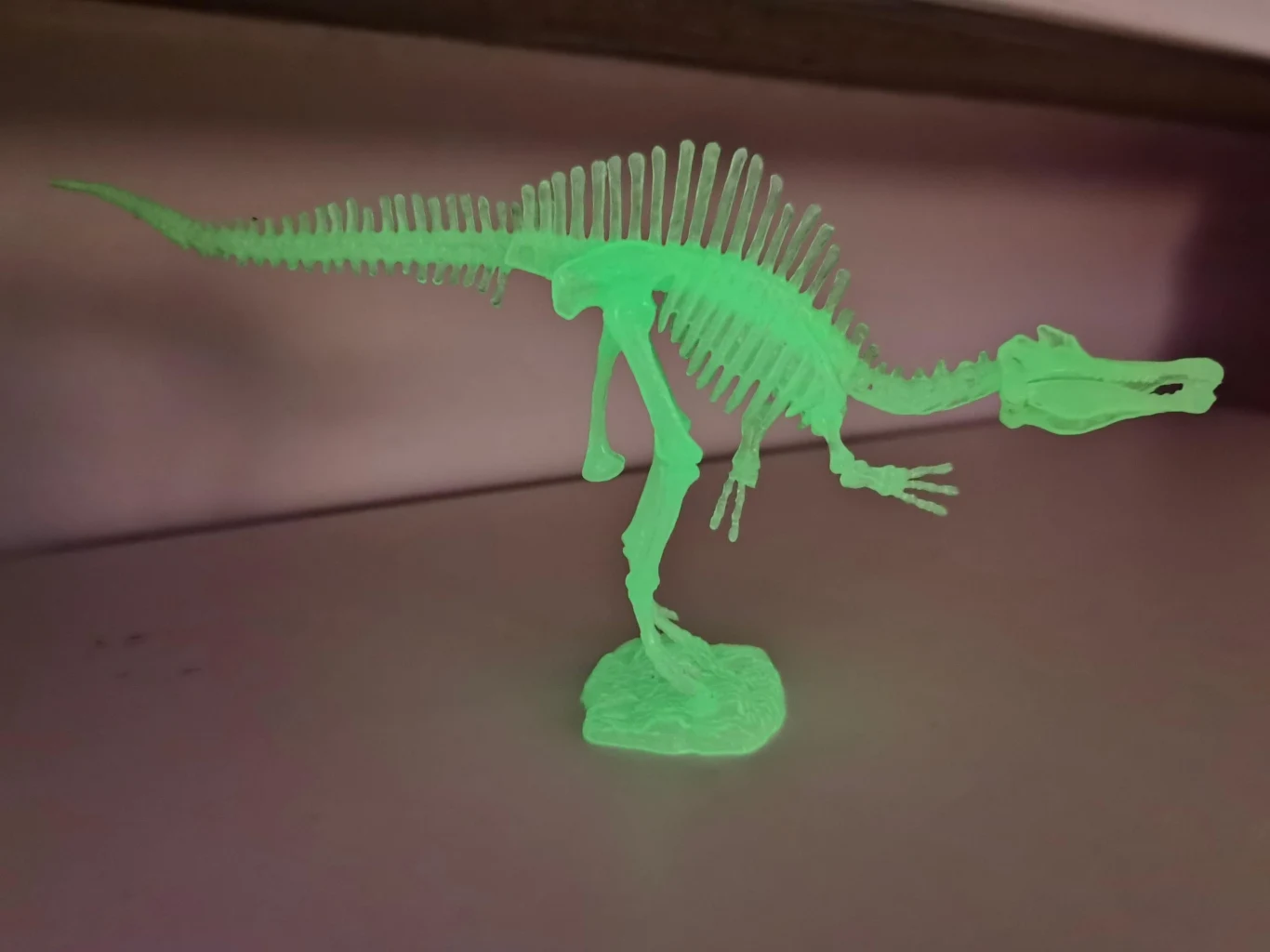 Zdjęcie wykonane obiektywem głównym, Tryb Nocny, niewielkie oświetlenie zastane