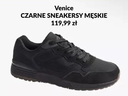 Sneakersy męskie Venice