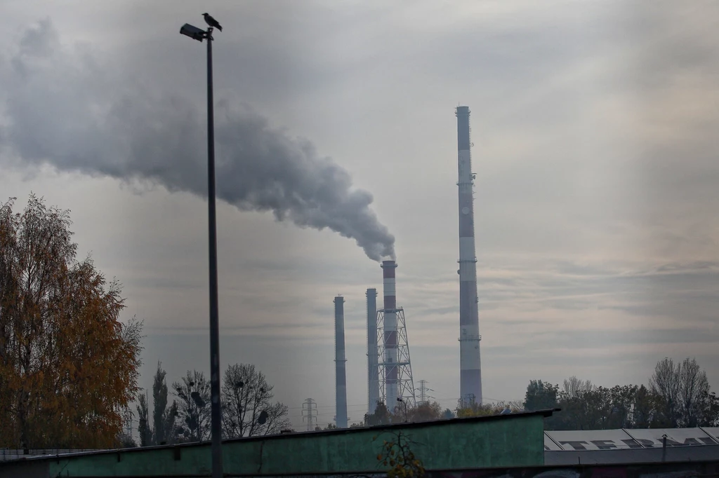 Apele o działanie w sprawie poprawy jakości powietrza od lat nie dają upragnionych skutków