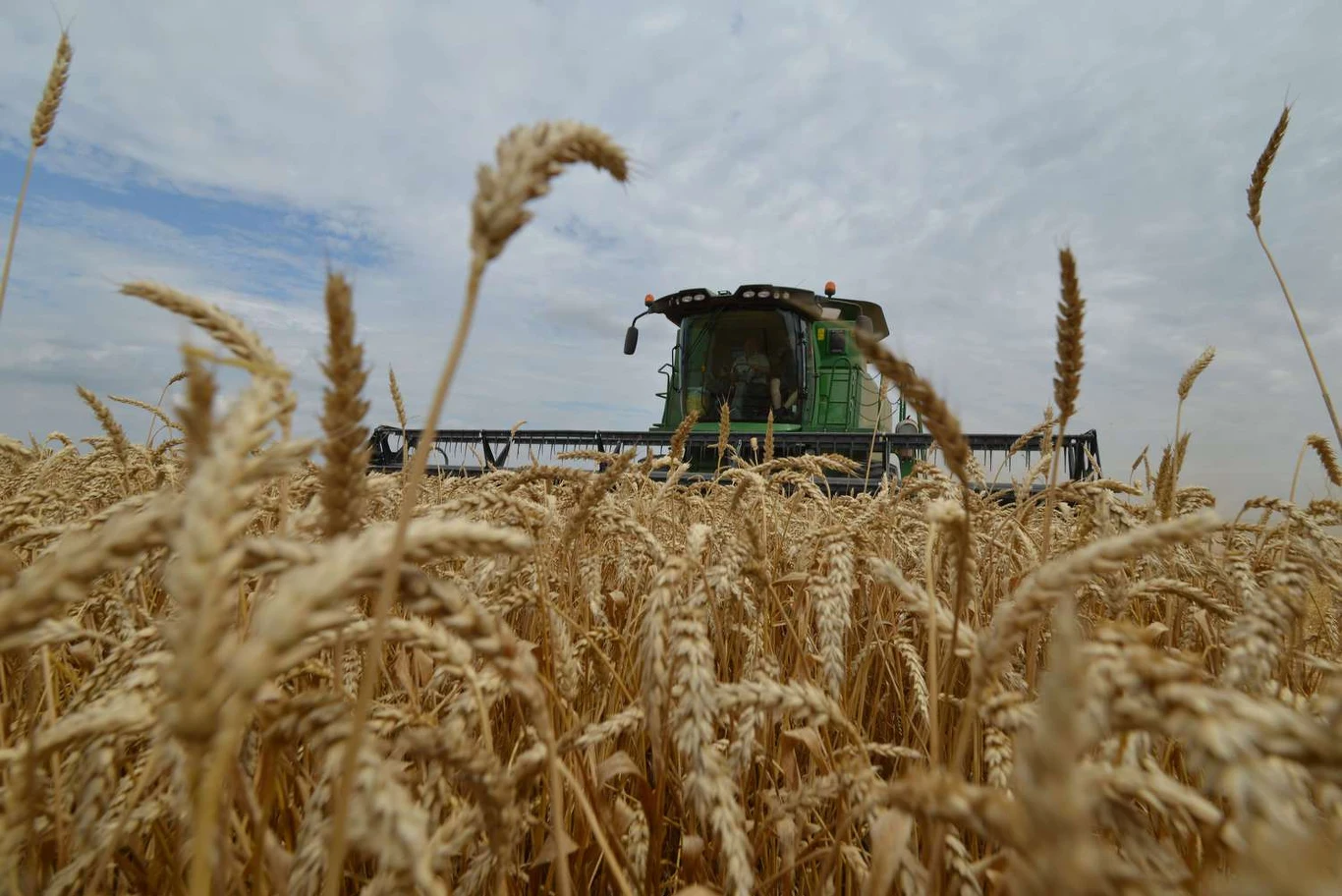 Susza w Europie może wpłynąć na ceny produktów spożywczych w Polsce Ukraina ma problemy z suszą