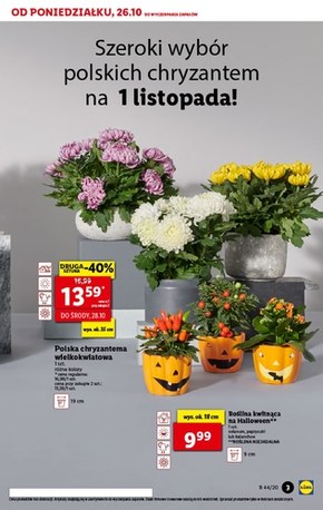 Od poniedziałku w Lidlu