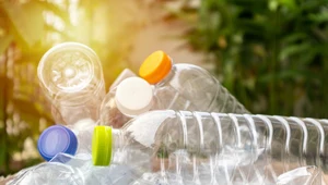 Bioplastiki także niebezpieczne dla środowiska