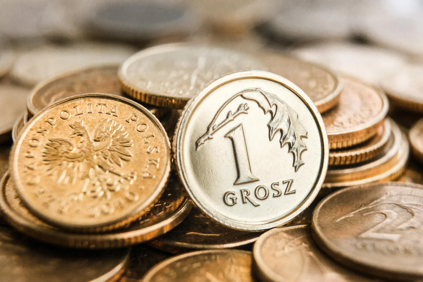 Emerytury groszowe dotyczą blisko 400 tys. seniorów w Polsce. Głównie kobiet Emerytury groszowe dotyczą blisko 400 tys. seniorów w Polsce. Głównie kobiet