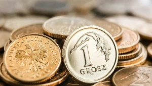 Emerytury groszowe dotyczą blisko 400 tys. seniorów w Polsce. Głównie kobiet