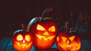 Halloween pod znakiem anomalii. W USA mają paść rekordy temperatur