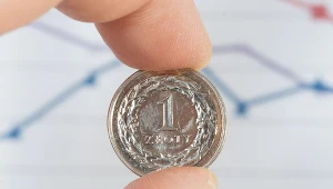 NBP i rząd walczą o mocniejszego złotego 