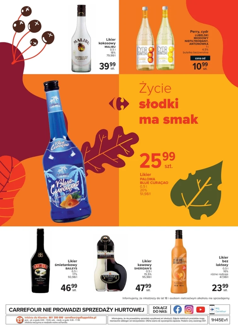 leaflet page preview image