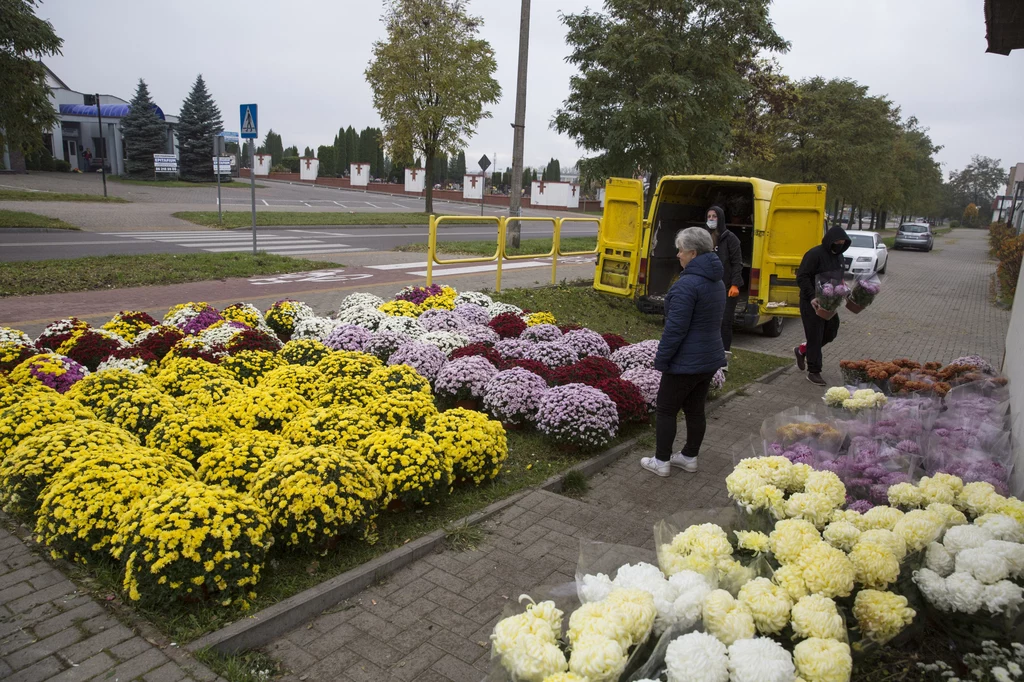 Sprzedawcy zniczy i kwiatów otrzymają 180 mln zł pomocy