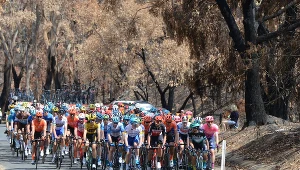 Zdjęcie ilustracyjne