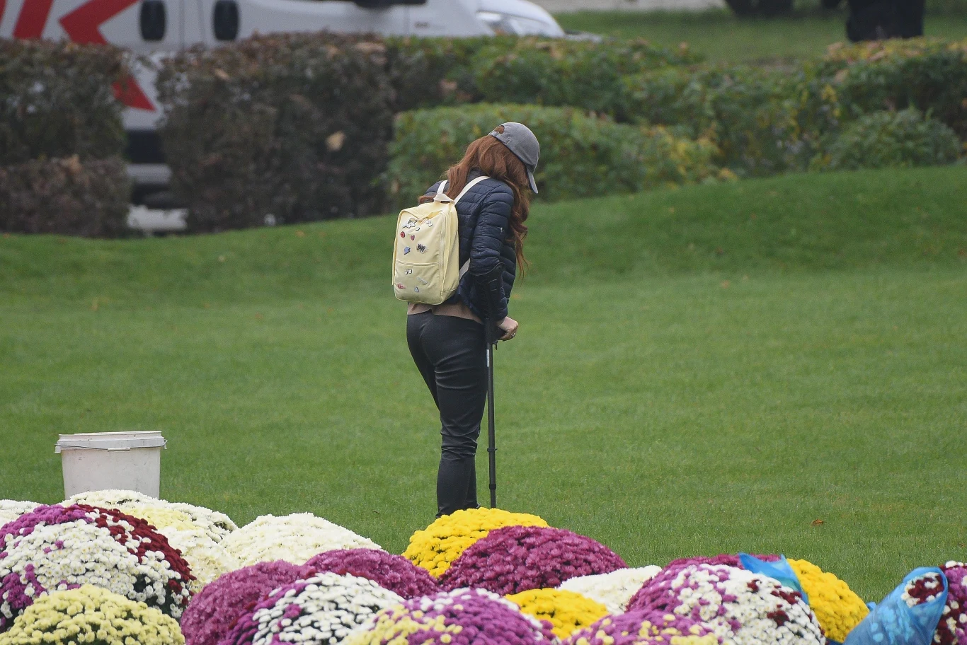 Anna Mucha i Jakub Wons wspierają sprzedawców chryzantem