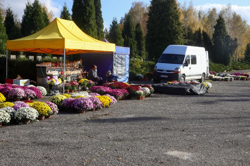 Dla producentów chryzantem decyzja o zamknięciu cmentarzy w całej Polsce na czas Święta Zmarłych oznaczała początek szacowania strat zamiast zysków.