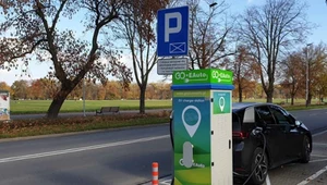 Liczba dostępnych modeli elektrycznych rośnie, ale sprzedaż pozostaje na śladowym poziomi