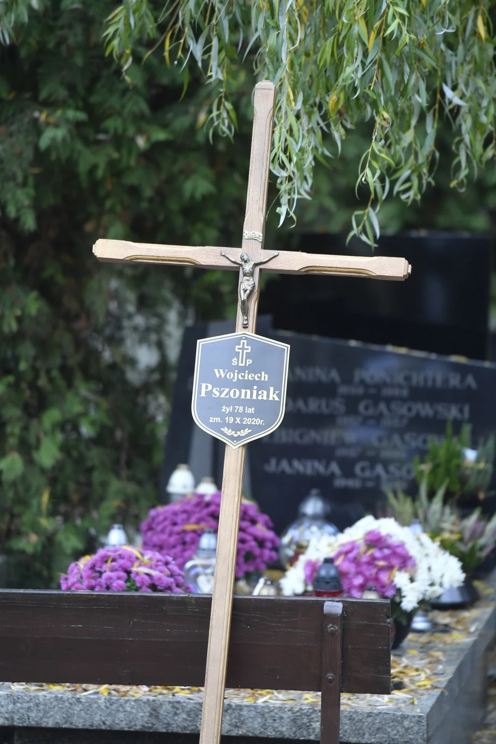 Drzwi do międzynarodowej kariery otworzyła mu rola Moryca Welta w filmie "Ziemia obiecana" Andrzeja Wajdy. Wystąpił także w innych jego filmach: "Wesele", "Danton" i "Korczak". Występował też w Kabarecie pod Egidą.