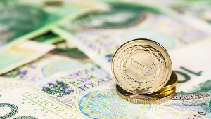 Kolejne restrykcje mogą osłabić złotego