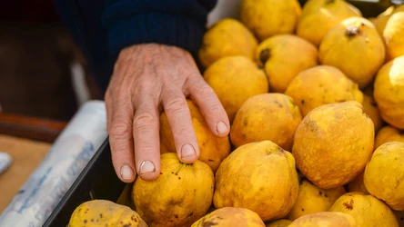 Jak obierać twardą pigwę? Babcie miały na to sprawdzony sposób 