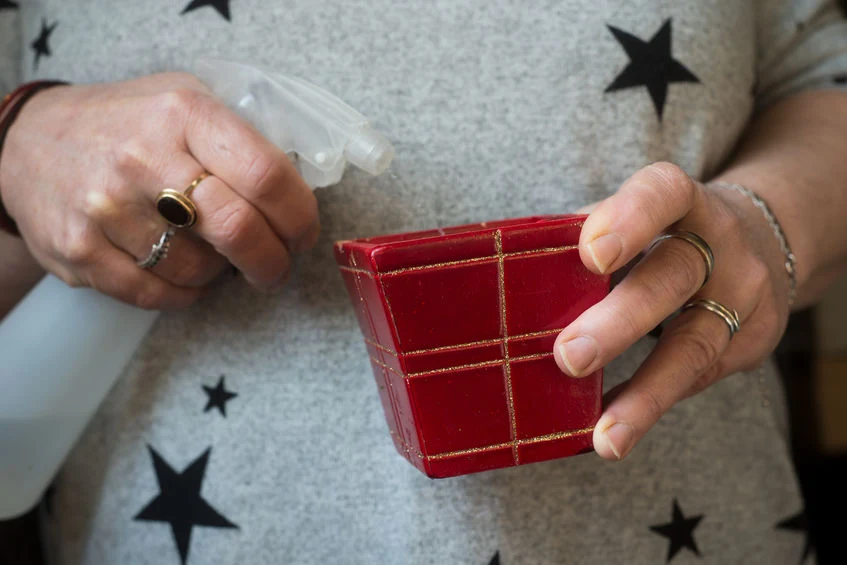 Nasiona Nasiona pietruszki zawierają znacznie więcej olejku eterycznego i flawonoidów niż korzenie, stąd ich silne działanie moczopędne i przeciwszkorbutowe. 