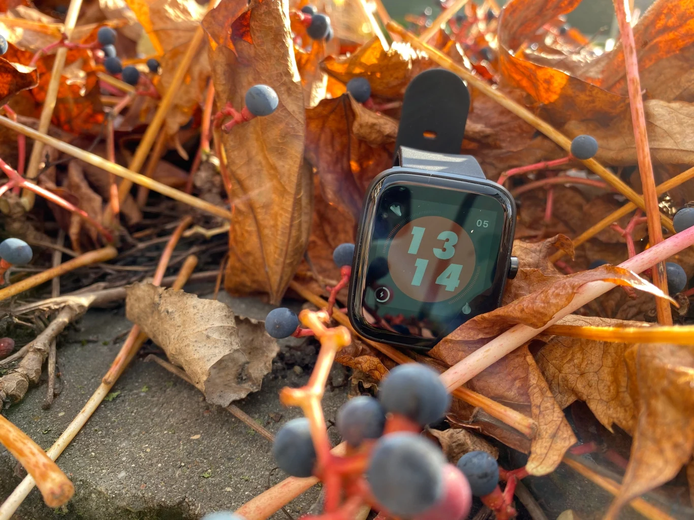 Vector Smart VCTR-31-01 Vector Smart VCTR-31-01