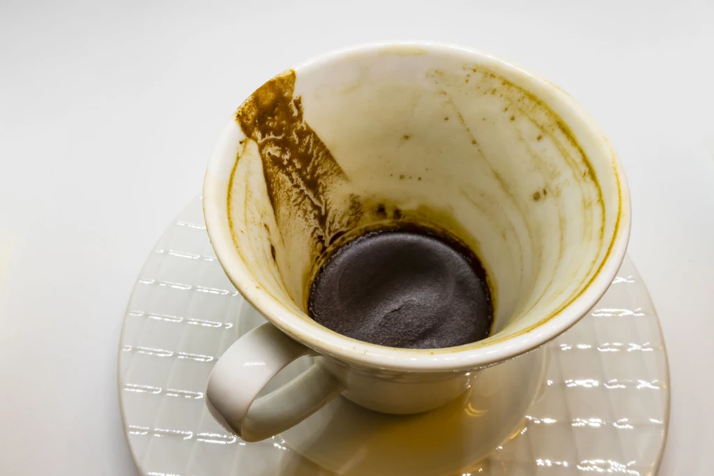 Fusy czy liście z herbaty to coś, co najczęściej ląduje w kuchennym zlewie. Drobne ziarenka kawy wydają się być niegroźne, jednak mogą doprowadzić do przytkania rury. Jeśli zależy ci na tym, aby minimalizować ilość odpadów i żyć w duchu „zero waste”, fusy z pewnością będą przydatne podczas pielęgnacji ciała czy prac w ogródku. Tym, którzy po wypiciu małej czarnej chcą się fusów jak najszybciej pozbyć, zaleca się wyrzucanie ich do kosza. Fusy czy liście z herbaty to coś, co najczęściej ląduje w kuchennym zlewie. Drobne ziarenka kawy wydają się być niegroźne, jednak mogą doprowadzić do przytkania rury. Jeśli zależy ci na tym, aby minimalizować ilość odpadów i żyć w duchu „zero waste”, fusy z pewnością będą przydatne podczas pielęgnacji ciała czy prac w ogródku. Tym, którzy po wypiciu małej czarnej chcą się fusów jak najszybciej pozbyć, zaleca się wyrzucanie ich do kosza.