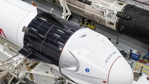 SpaceX planuje na 2022 rok aż 52 misje kosmiczne