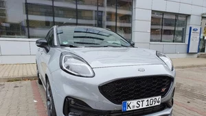 Ford Puma ST - na spacerze z dzikim kotem