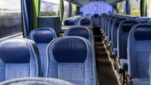 Za 8 zł dojedziesz do najpiękniejszych miejsc na Podlasiu. Ruszyła nowa trasa
