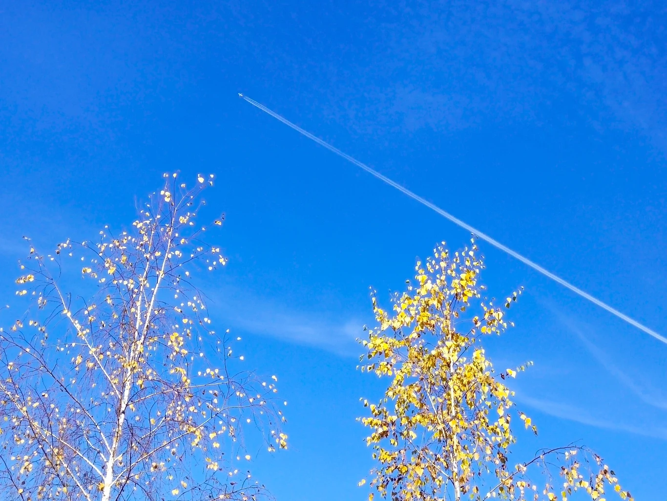 Zdjęcie wykonane smartfonem Vivo Y70 - zoom cyfrowy x2 