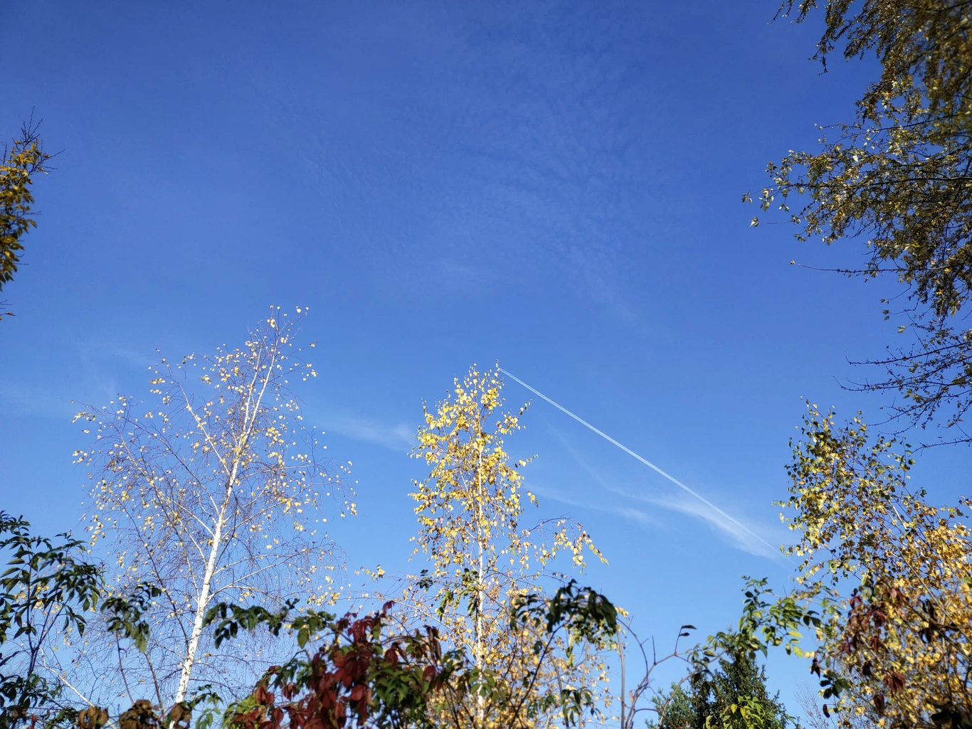 Zdjęcie wykonane smartfonem Vivo Y70 