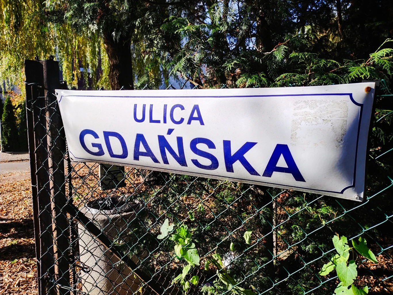 Zdjęcie wykonane smartfonem Vivo Y70 