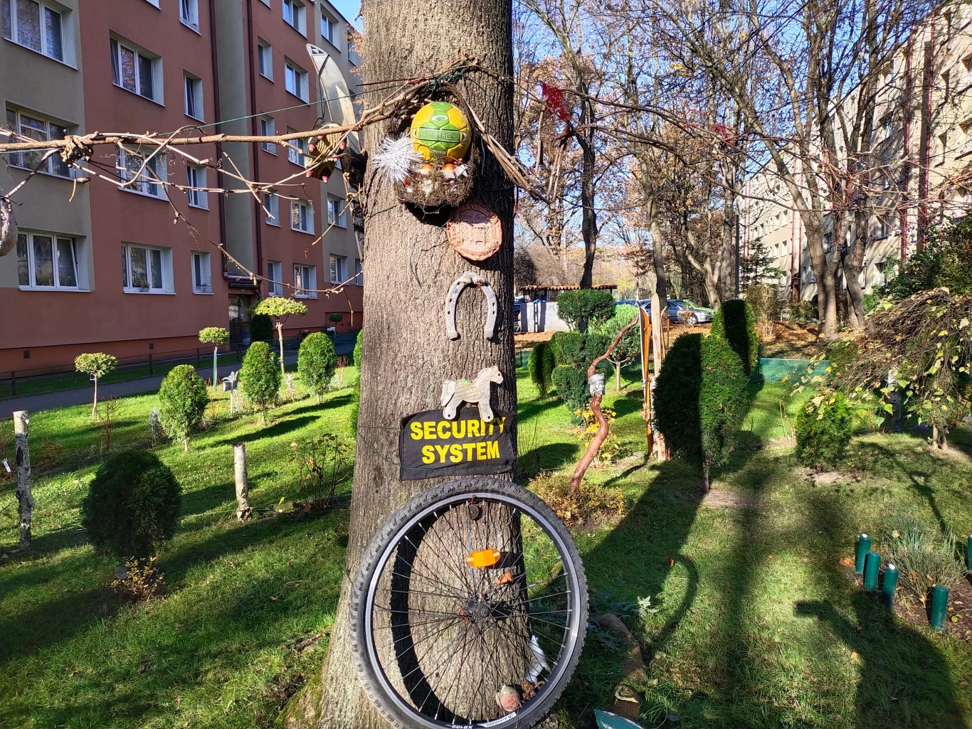 Zdjęcie wykonane smartfonem Vivo Y70 