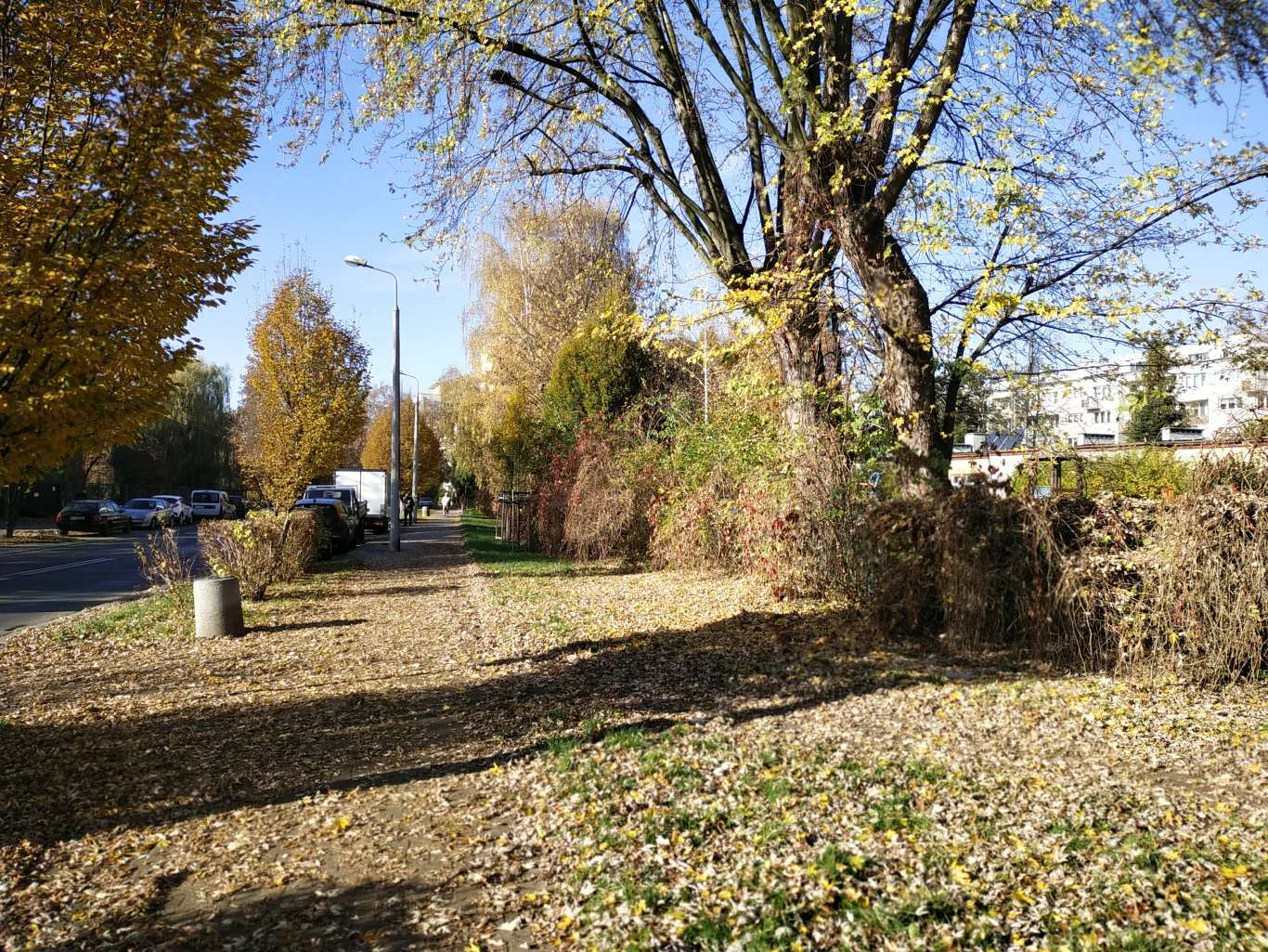 Zdjęcie wykonane smartfonem Vivo Y70 