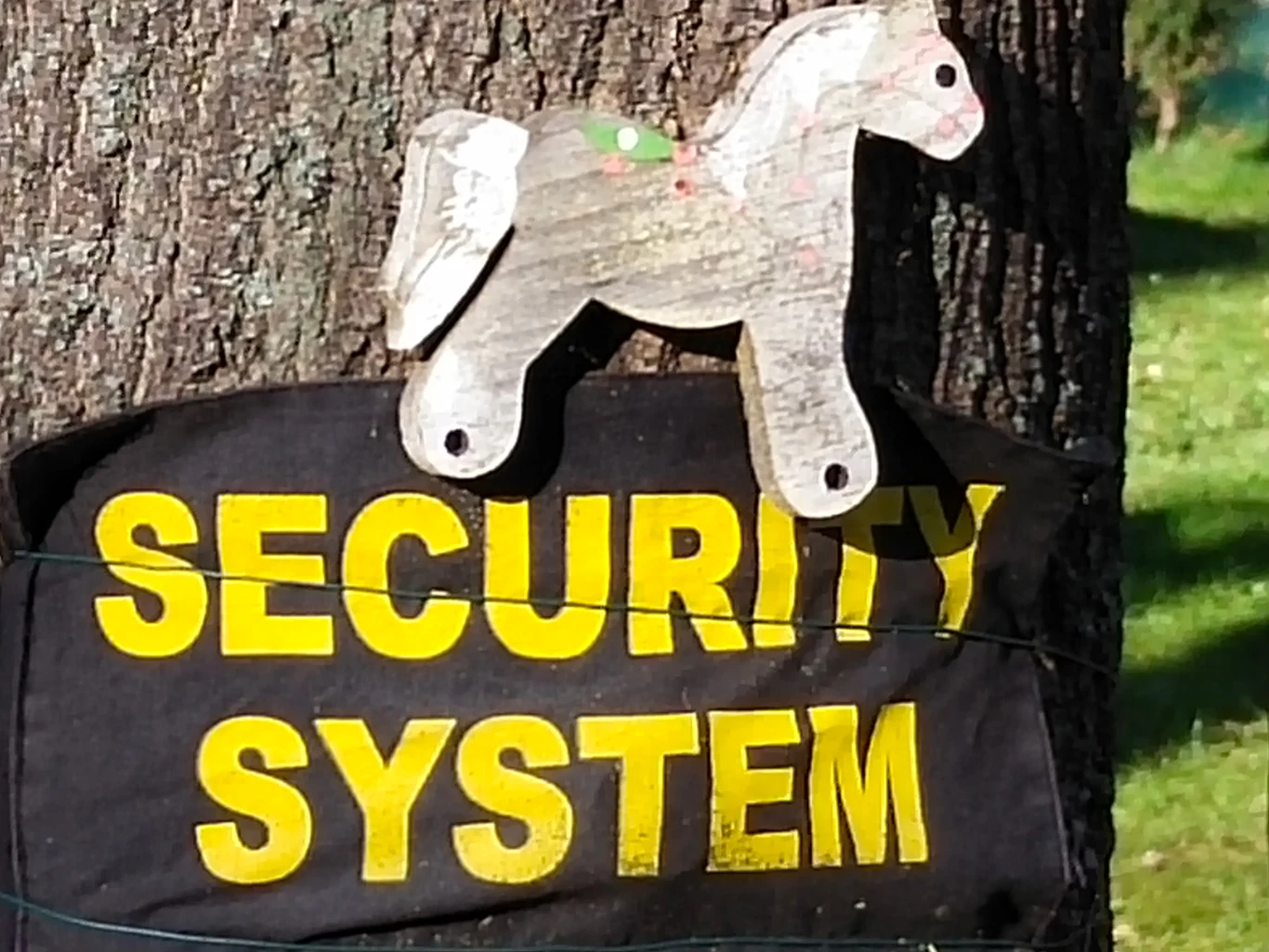 Zdjęcie wykonane smartfonem Vivo Y70 - zoom cyfrowy x8