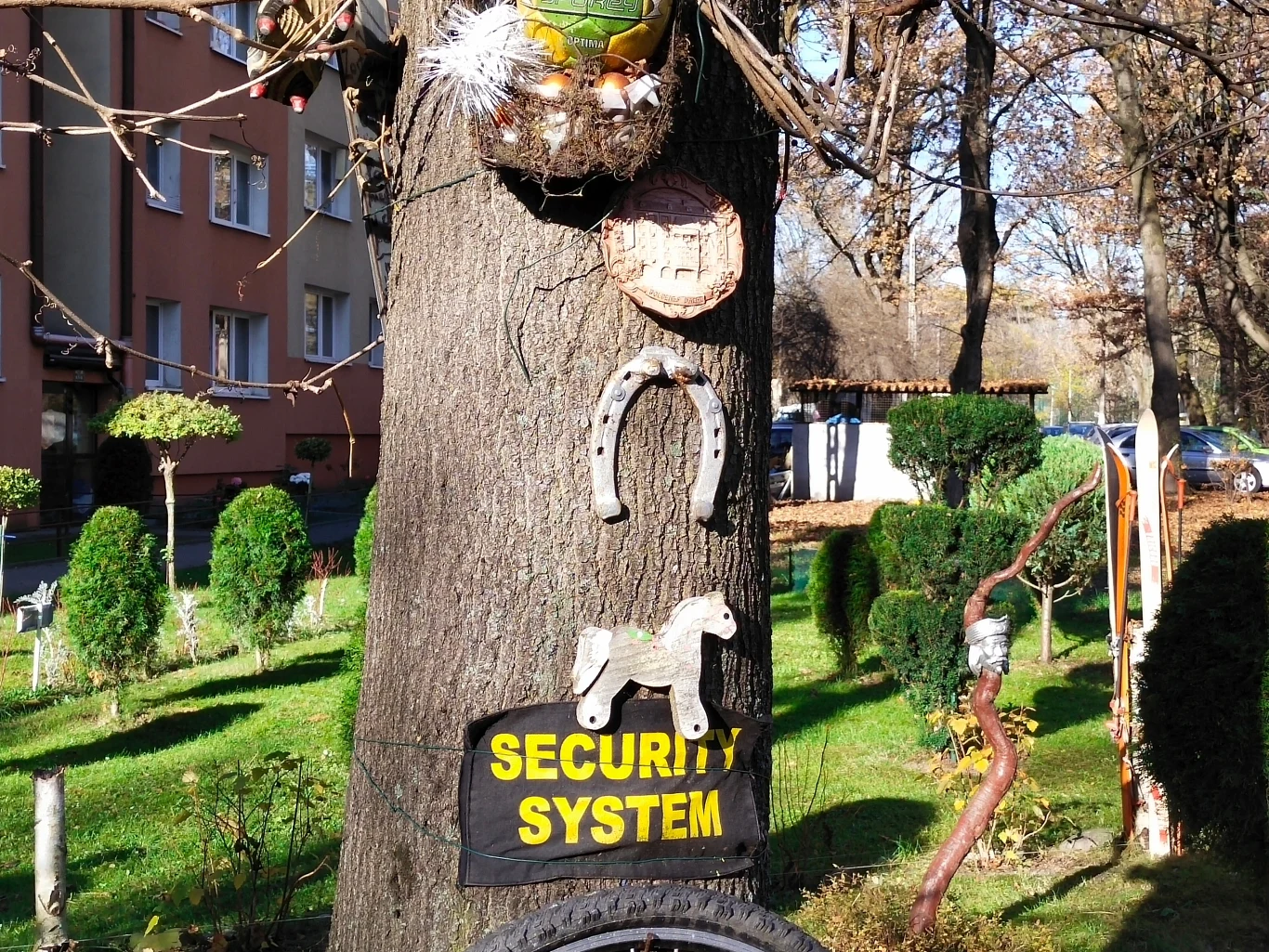 Zdjęcie wykonane smartfonem Vivo Y70 